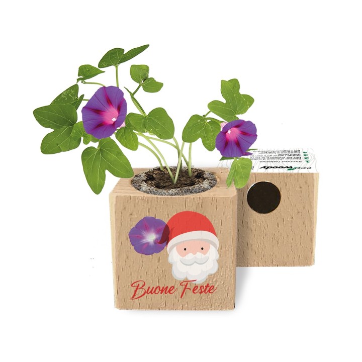 Eco-Woody Natalizio - Cubo di legno 100% ecologico con semi di Tagete