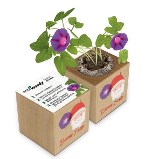 Eco-Woody Natalizio - Cubo di legno 100% ecologico con semi di Tagete