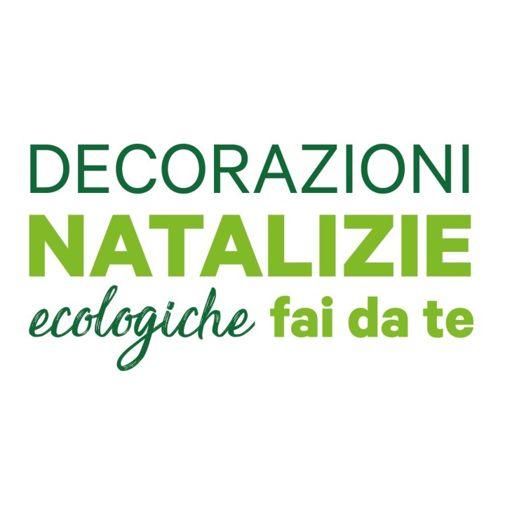 ECOCARD decorazioni natalizie in carta piantabile con semi FIORI MISTI