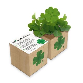 Eco-Woody - Cubo ecologico con semi di Quadrifoglio 