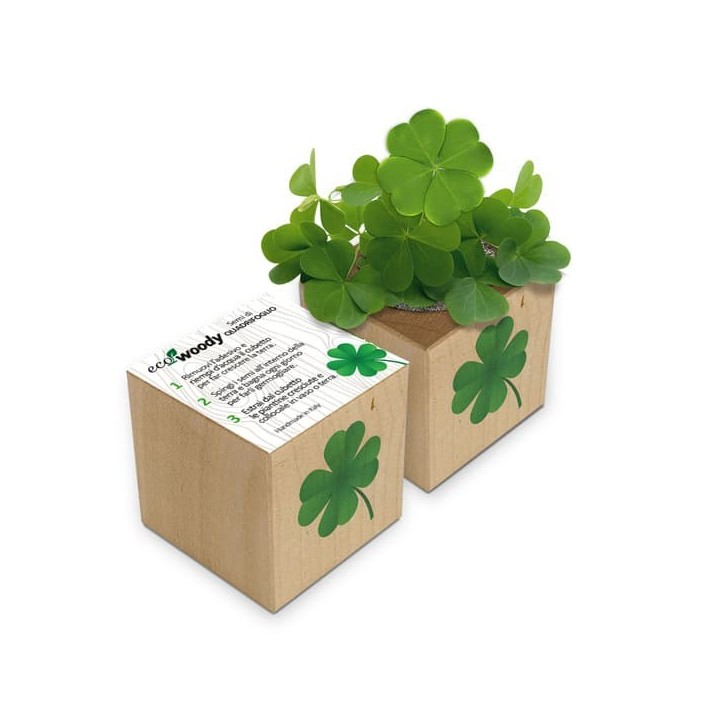 Eco-Woody - Cubo ecologico con semi di Quadrifoglio 