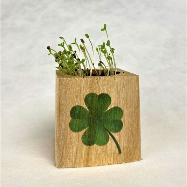 Eco-Woody - Cubo ecologico con semi di Quadrifoglio 