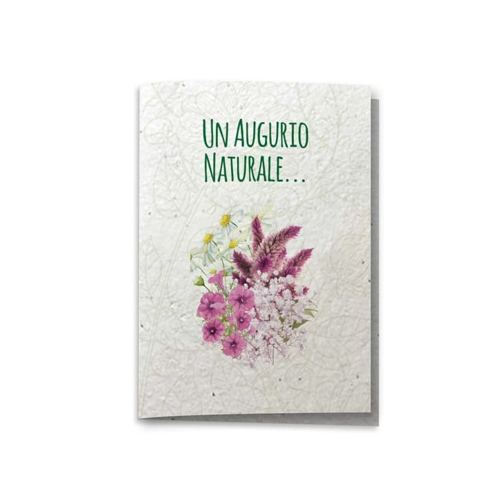 ECO-CARD Biglietto Auguri Naturali in carta piantabile con SEMI MISTI