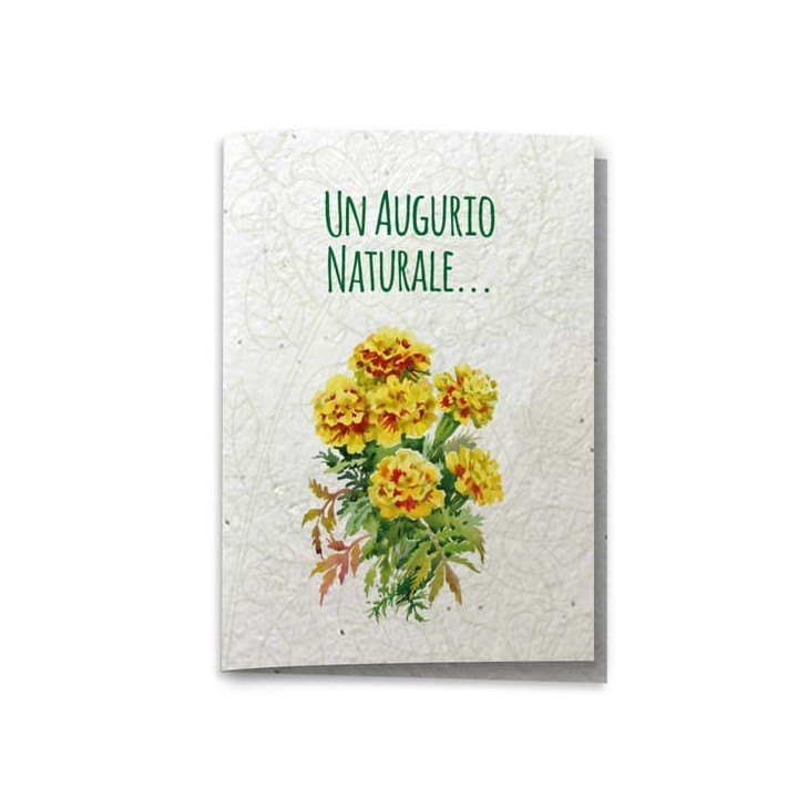 ECO-CARD Biglietto Auguri Naturali in carta piantabile con TAGETE