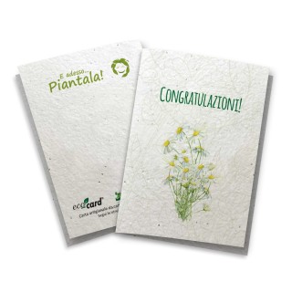 ECO-CARD Biglietto Congratulazioni in carta piantabile con MARGHERITA