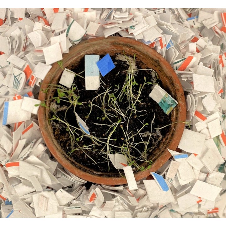 ECORIANDOLI coriandoli ecologici e sostenibili in carta piantabile con semi di fiori misti