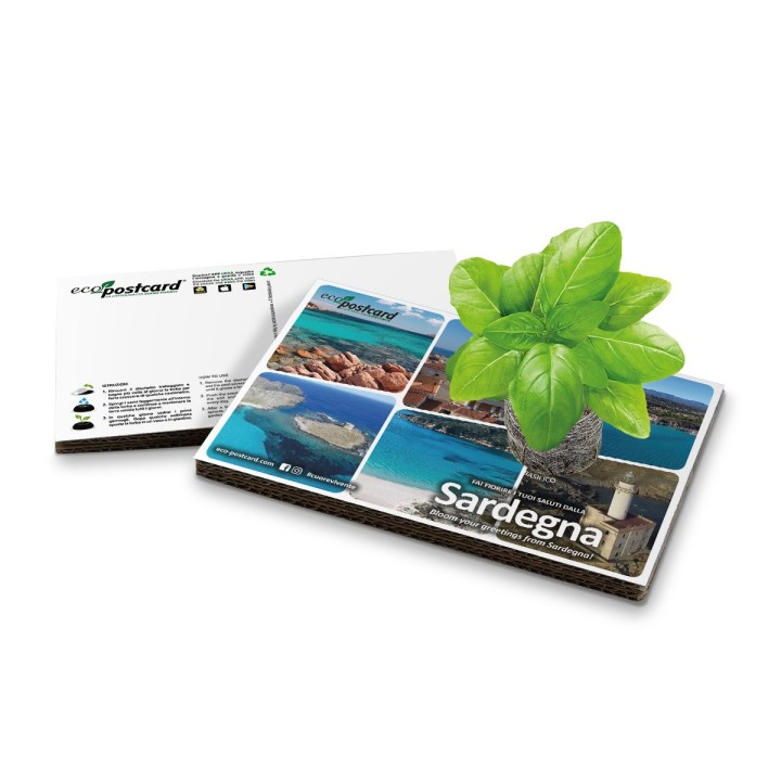 Eco-Postcard cartolina souvenir Spiagge Sarde