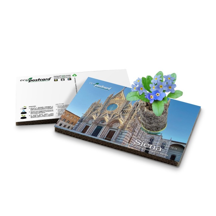 Eco-Postcard cartolina souvenir Siena