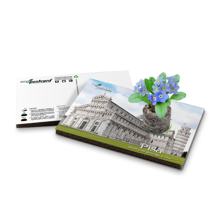 Eco-Postcard cartolina souvenir Pisa