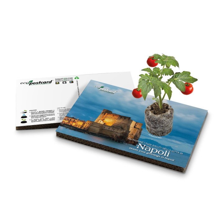 Eco-Postcard cartolina souvenir Golfo di Napoli 