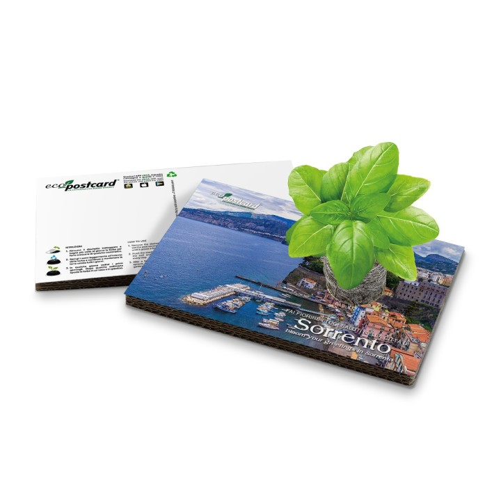 Eco-Postcard cartolina ecologica souvenir Sorrento