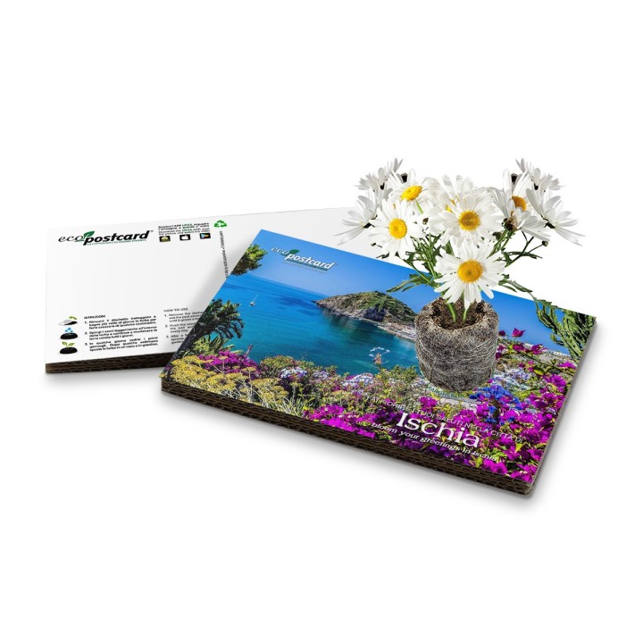Eco-Postcard cartolina souvenir Ischia