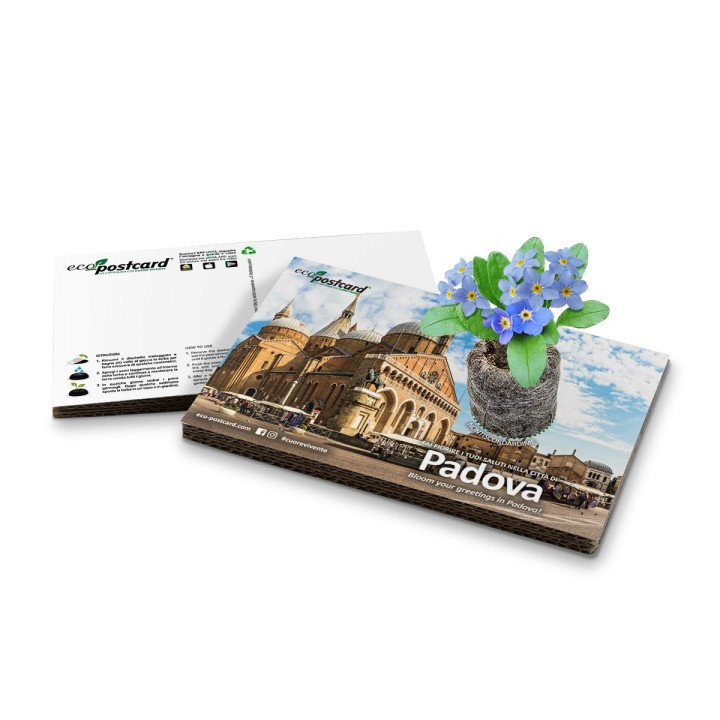 Eco-Postcard cartolina souvenir Padova