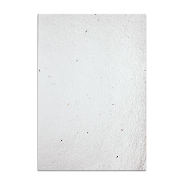 Eco-Card fogli carta piantabile - semi di verdure