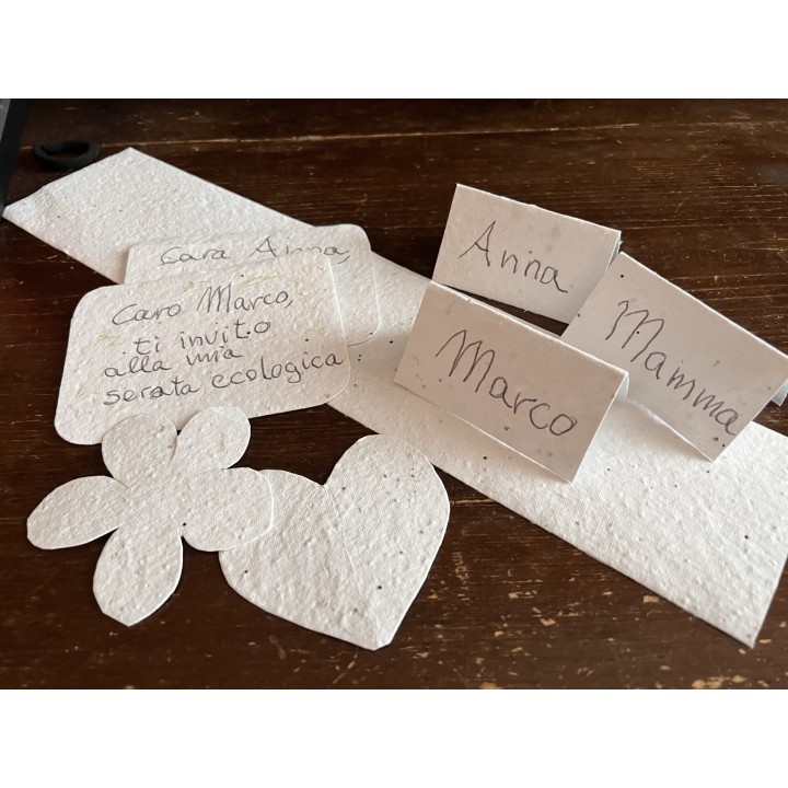 Eco-Card: 1kg ritagli carta piantabile neutra 10x15cm per lavori creativi e didattici - semi misti: fiori/verdura