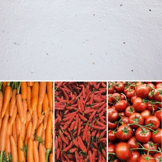 Eco-Card fogli carta piantabile - semi di verdure