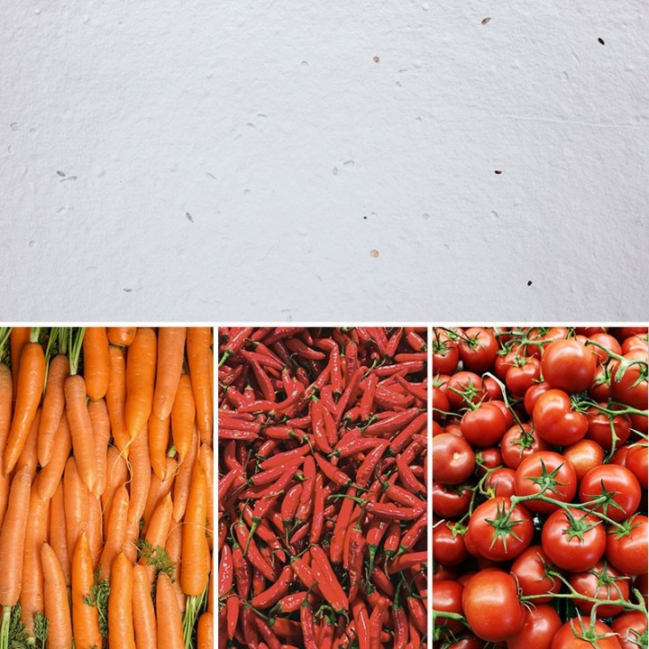 Eco-Card fogli carta piantabile - semi di verdure