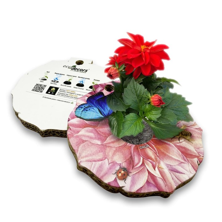 Eco-Decors Sagomata Dalia - Dalia