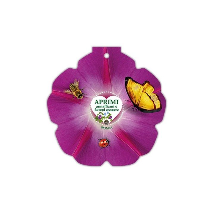 Eco-Decors Sagomata Ipomea - Ipomea