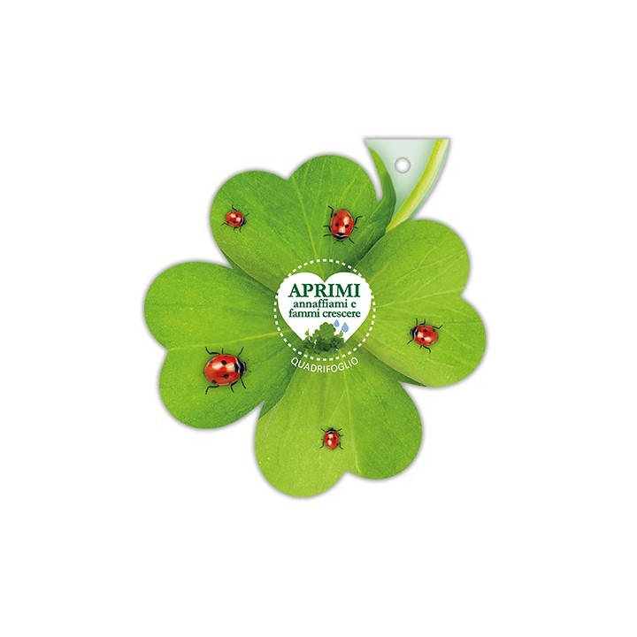 Eco-Decors Sagomata Quadrifoglio– Quadrifoglio