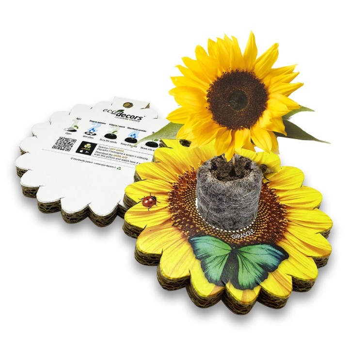 Eco-Decors Sagomata Girasole– Girasole