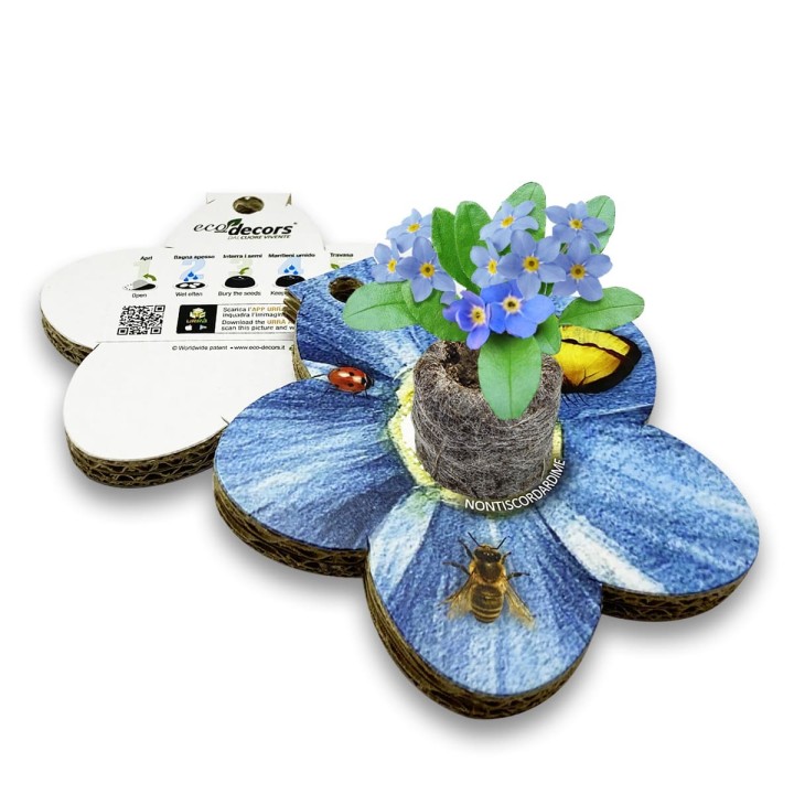 Eco-Decors Sagomata Nontiscordardimè – Nontiscordardimè