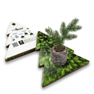 Eco-Decors Sagomata Abete – Abete