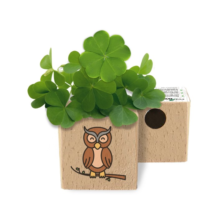 Eco-Woody - Cubo ecologico con semi di Quadrifoglio 