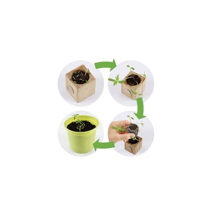 Eco-Woody - Cubo ecologico e sostenibile con semi di Prezzemolo