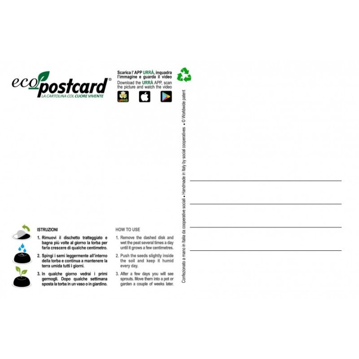 Eco-Postcard gatto che mangia erba gatta