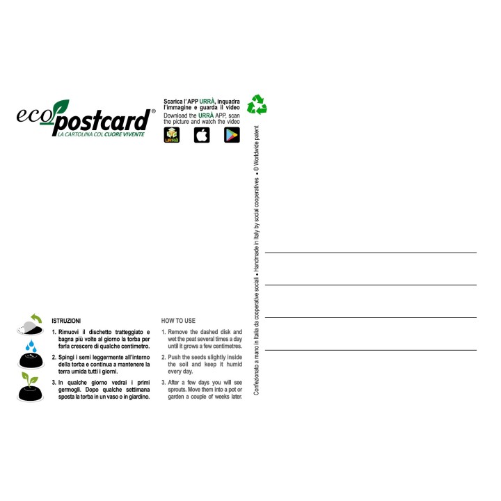 Eco-Postcard cartolina ecologica per bambini