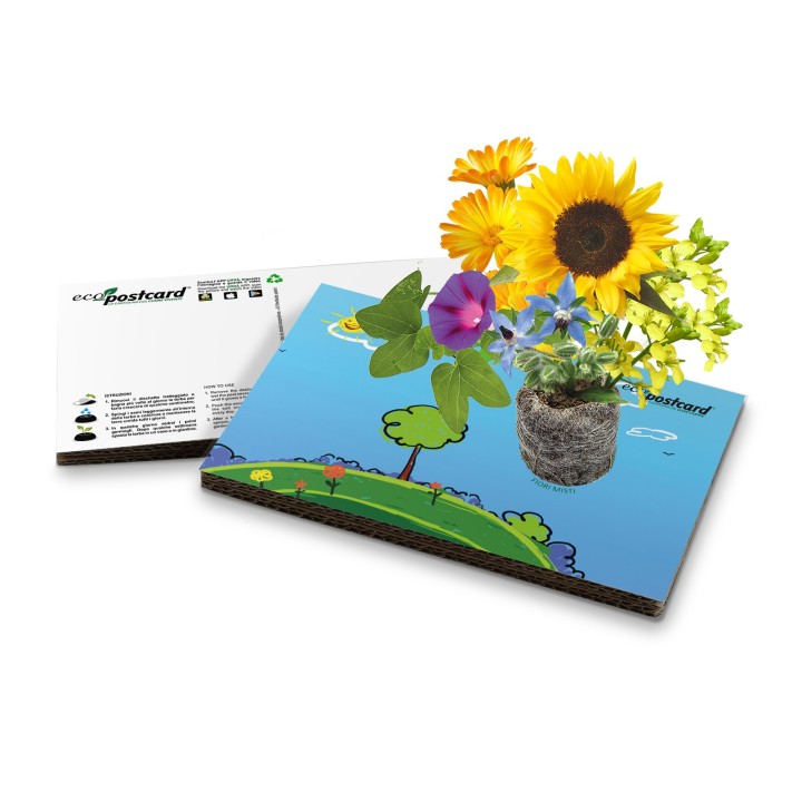 Eco-Postcard cartolina ecologica per bambini