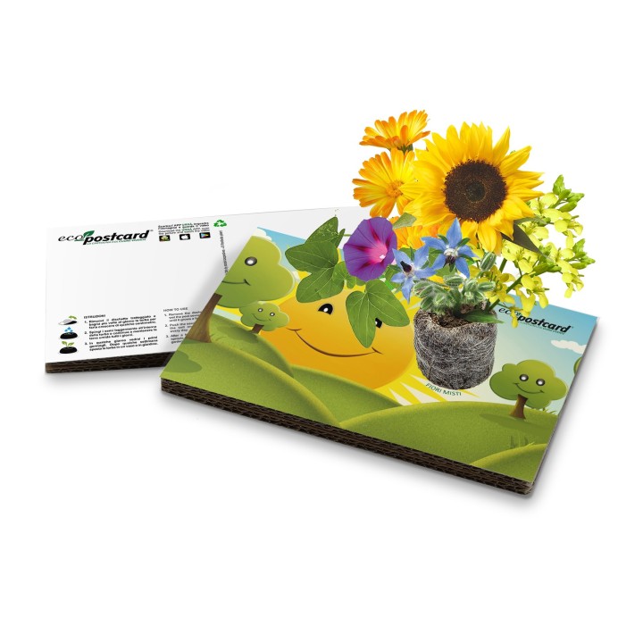 Eco-Postcard cartolina ecologica per bambini