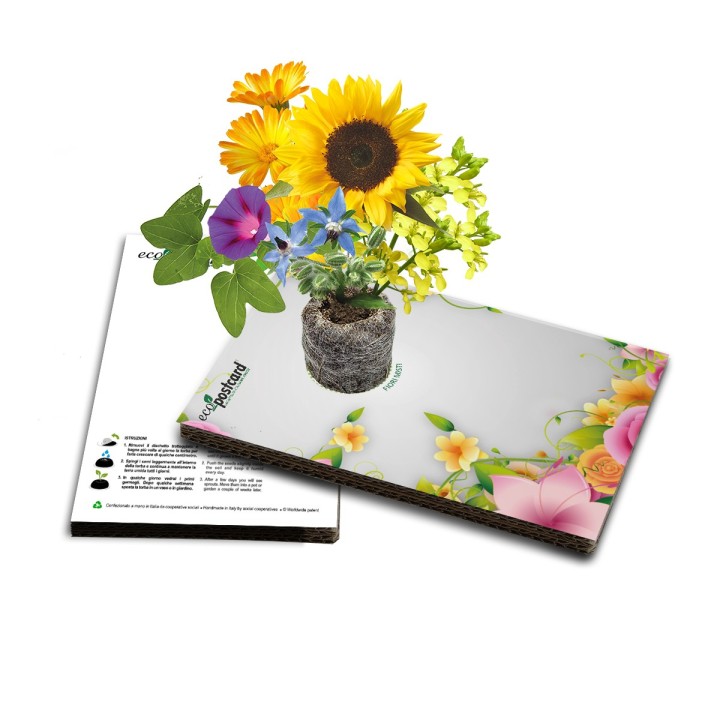 cartolina auguri con fiori misti che germogliano