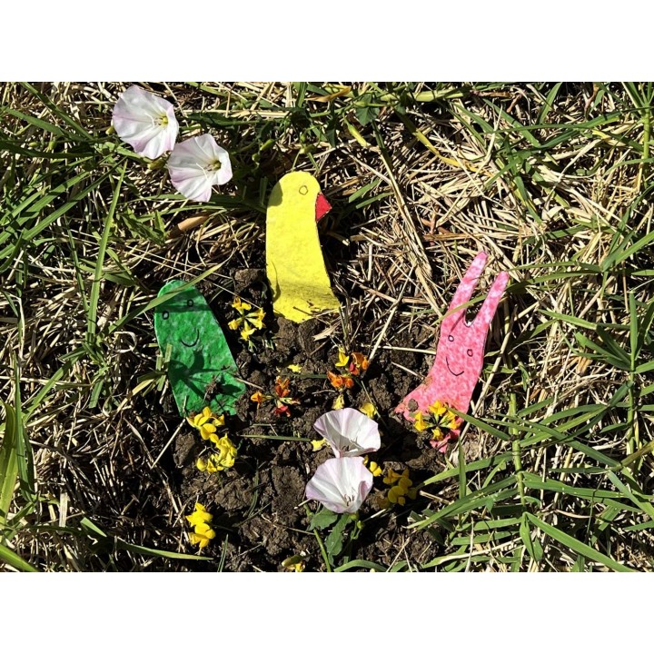 GERMOGLOTTI animali piantabili in carta con semi fai da te