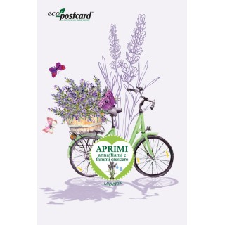 Eco-Postcard Lavanda in bicicletta