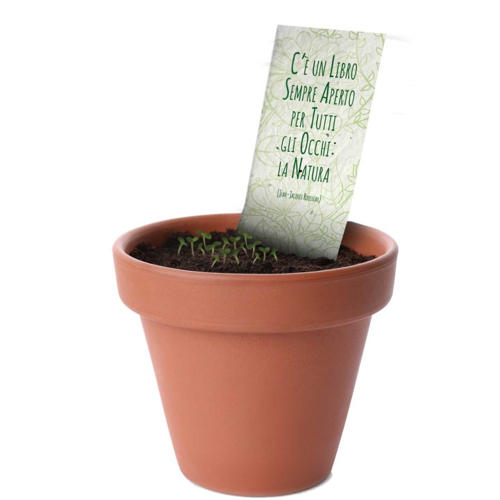 ECO-CARD segnalibri piantabili serie EVERGREEN