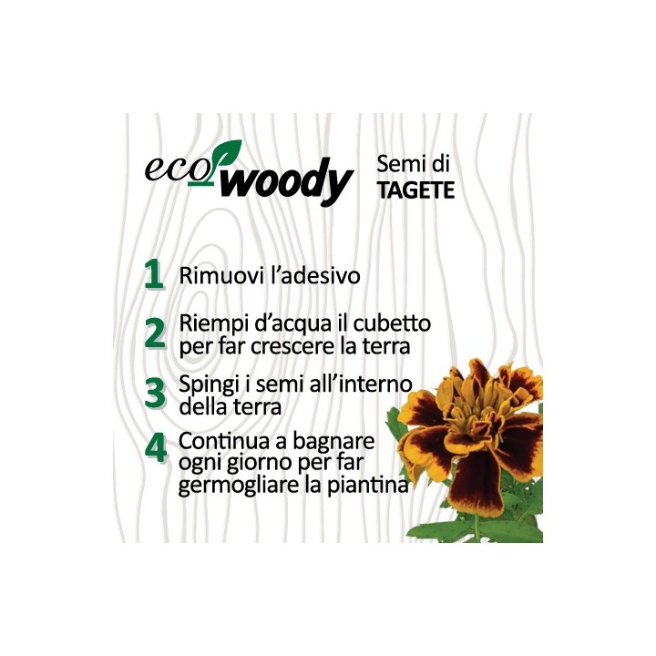 Eco-Woody cubo di legno con semi di Tagete