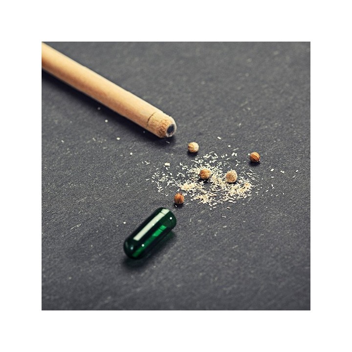 SPROUT matita piantabile con mina colorata arcobaleno