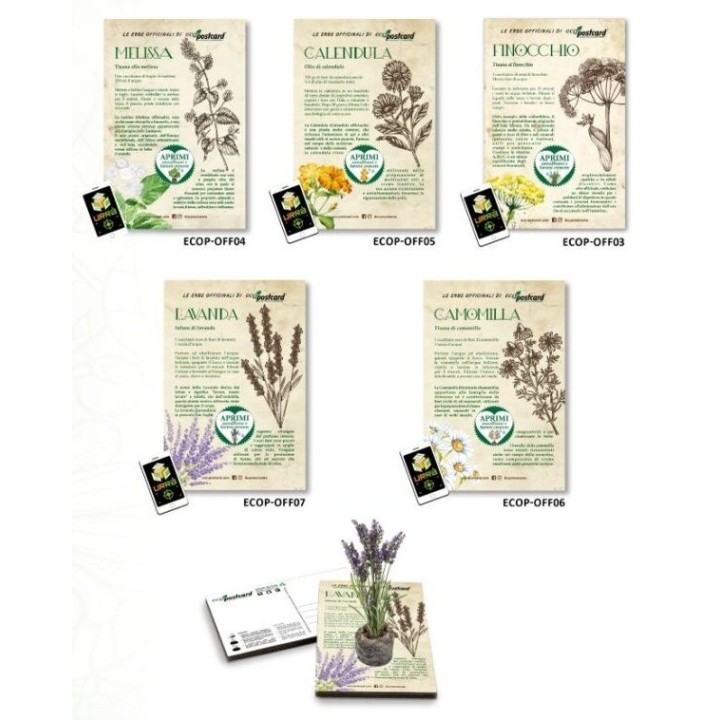 Espositore Eco-postcard - Collezione Officinali