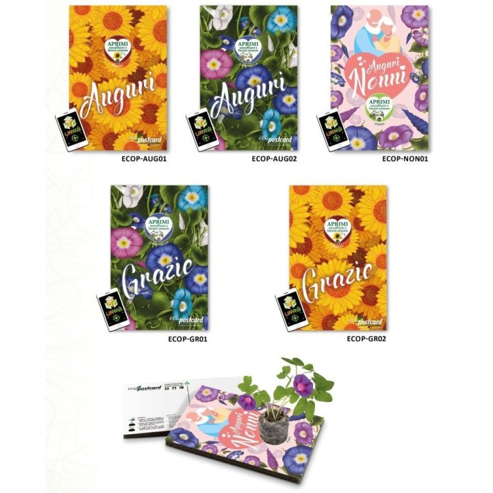 Espositore Eco-postcard - Collezione Auguri