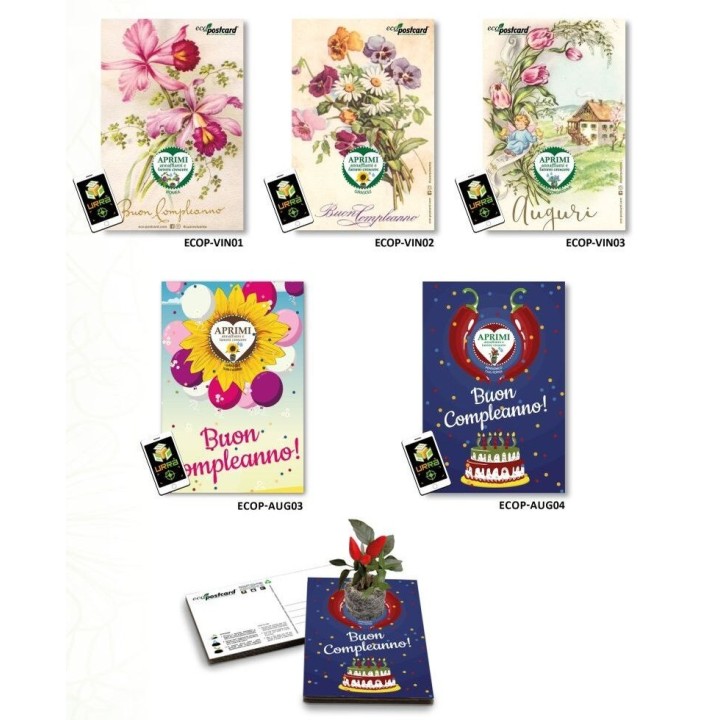 Espositore Eco-postcard - Collezione Compleanno