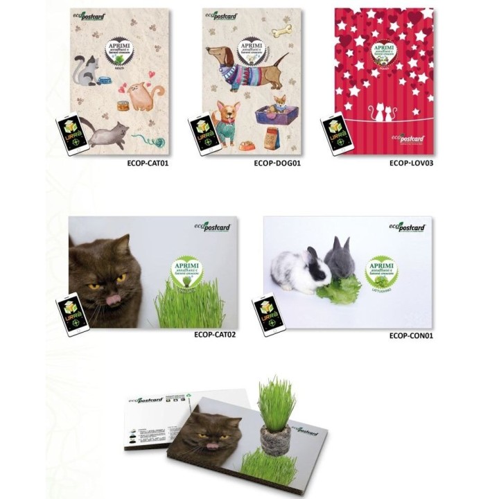 Espositore Eco-postcard - Collezione Animali