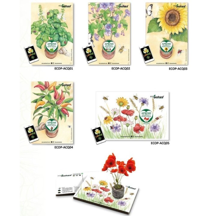Espositore Eco-postcard - Collezione Acquerelli
