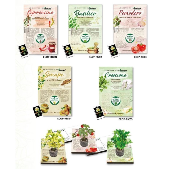 Espositore Eco-postcard - Collezione Ricette