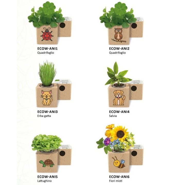 Espositore Eco-Woody - Collezione Animali