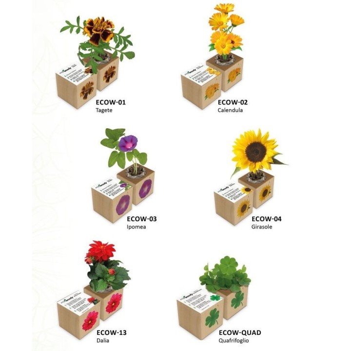 Espositore Eco-Woody - Collezione Piante e Fiori