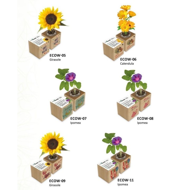 Espositore Eco-Woody - Collezione Celebrativi