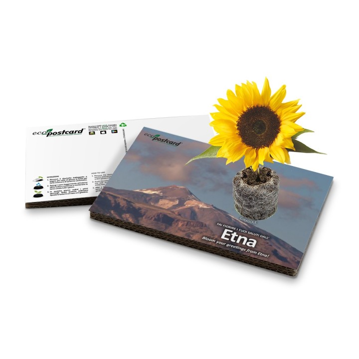 Eco-Postcard cartolina souvenir Etna