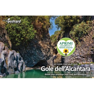 Eco-Postcard cartolina souvenir gole dell'Alcantara